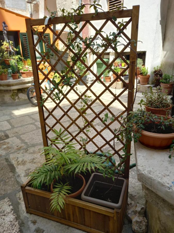 Bunari Studio Appartement